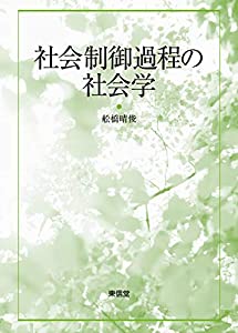 社会制御過程の社会学(中古品)
