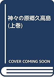 神々の原郷久高島 上巻(中古品)