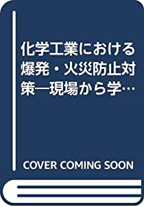 化学工業における爆発・火災防止対策—現場から学ぶノウハウ(中古品)