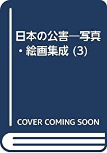 日本の公害 3—写真・絵画集成 身体を蝕む(中古品)