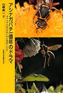 アシナガバチ一億年のドラマ—カリバチの社会はいかに進化したか(中古品)