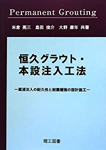 恒久グラウト・本設注入工法—薬液注入の耐久性と耐震補強の設計施工(中古品)
