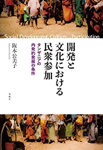 開発と文化における民衆参加——タンザニアの内発的発展の条件(中古品)
