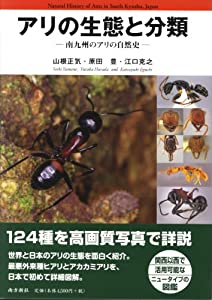 アリの生態と分類(中古品)
