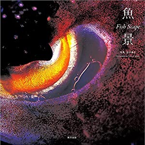 魚 景: Fish Scape(中古品)