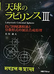 天球のラビリンス III?—自己回帰調和波と分数形式の加法合成原理(中古品)