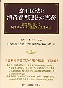 改正民法と消費者関連法の実務─消費者に関する民事ルールの到達点と活用方法─(中古品)