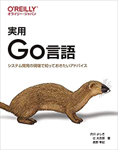 実用 Go言語 —システム開発の現場で知っておきたいアドバイス(中古品)の通販は