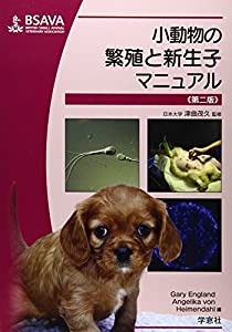 小動物の繁殖と新生子マニュアル(中古品)