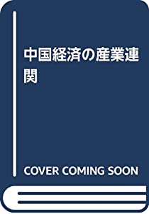 中国経済の産業連関(中古品)