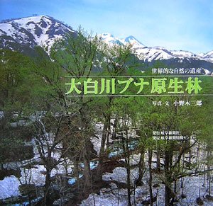 大白川ブナ原生林—世界的な自然の遺産(中古品)