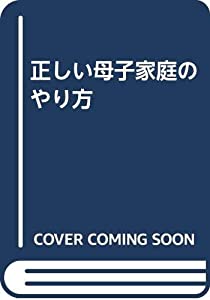 正しい母子家庭のやり方(中古品)