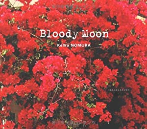 Bloody Moon—うまれるまえにみたひかり(中古品)