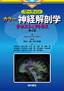 マーティン カラー神経解剖学—テキストとアトラス(中古品)