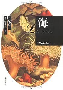 海(中古品)