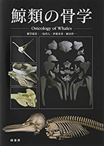 鯨類の骨学 Osteology of Whales(中古品)