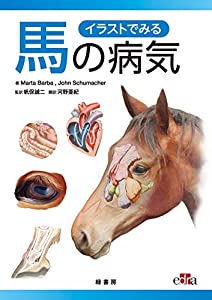 イラストでみる馬の病気(中古品)