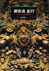 「銀街道」紀行—メキシコ植民地散歩(中古品)
