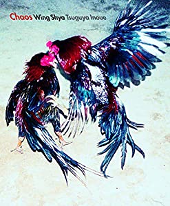 Chaos(中古品)