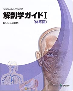 透明フィルムで覚える解剖学ガイド (1)(中古品)