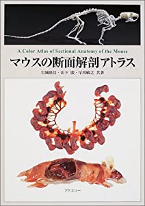 マウスの断面解剖アトラス(中古品)