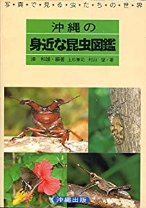 沖縄の身近な昆虫図鑑—写真で見る虫たちの世界(中古品)