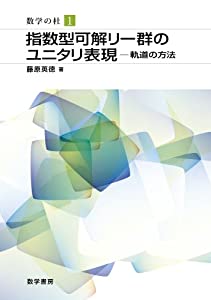 指数型可解リー群のユニタリ表現—軌道の方法 (数学の杜 1)(中古品)