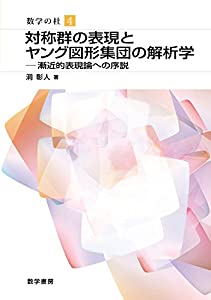 対称群の表現とヤング図形集団の解析学 (数学の杜)(中古品)