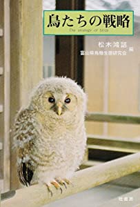 鳥たちの戦略(中古品)