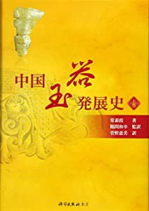 中国玉器発展史 上巻 (上巻)(中古品)