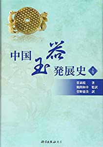 中国玉器発展史 下巻 (下巻)(中古品)