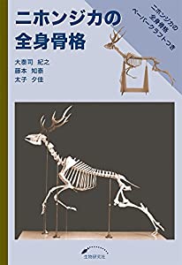 ニホンジカの全身骨格(中古品)