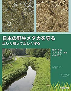 日本の野生メダカを守る ?正しく知って正しく守る(中古品)