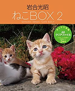 岩合光昭 ねこBOX2(中古品)
