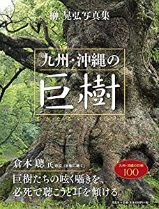 九州・沖縄の巨樹:遥かなるいのちの旅(中古品) 6,795円