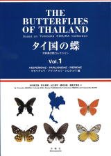 タイ国の蝶—木村勇之助コレクション (1)(中古品)の通販は 13,700円