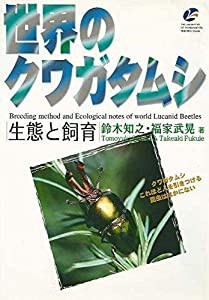 世界のクワガタムシ生態と飼育(中古品)の通販は