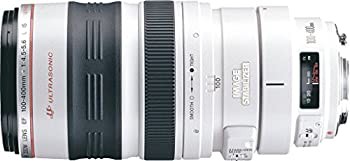 Canon 望遠ズームレンズ EF100-400mm F4.5-5.6L IS USM フルサイズ対応（中古品）