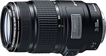 Canon EF 75-300mm F4-5.6 IS USM（中古品）