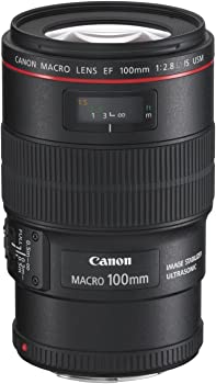 Canon 単焦点マクロレンズ EF100mm F2.8L マクロ IS USM フルサイズ対応（中古品）