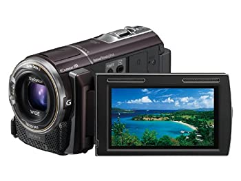 ソニー SONY デジタルHDビデオカメラレコーダー PJ40V ブラウン HDR-PJ40V/T（中古品）