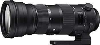 SIGMA 超望遠ズームレンズ Sports 150-600mm F5-6.3 DG OS HSM キヤノン用 フルサイズ対応 740542（中古品）