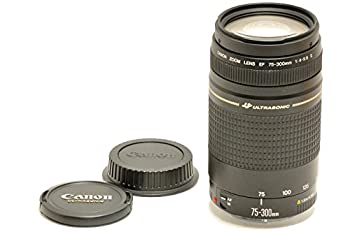 Canon キヤノン ズームレンズ EF 75-300mm F4-5.6  USM（中古品）