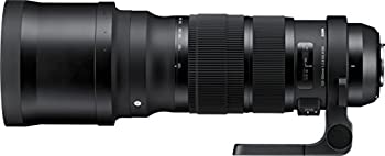 SIGMA 望遠ズームレンズ Sports 120-300mm F2.8 DG OS HSM キヤノン用 フルサイズ対応 137540（中古品）