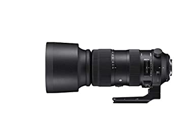 SIGMA 60-600mm F4.5-6.3 DG OS HSM | Sports S018 | Nikon F-FXマウント | Full-Size/Large-Format（中古品） 152,360円