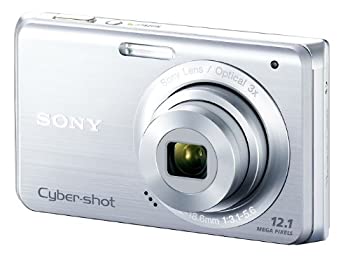 ソニー SONY デジタルカメラ Cybershot W190 (1210万画素/光学x3