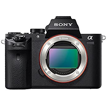 ソニー デジタル一眼カメラ「α7SII」ボディ ILCE-7SM2（中古品）