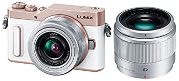 パナソニック ミラーレス一眼カメラ ルミックス GF10 ダブルレンズ  