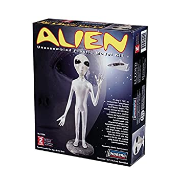 プラッツ 1/5 見ず知らず プラモデル LN91004（中古品）