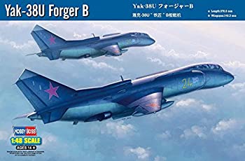 余暇活動雇い主 1/48 大気圏手工芸品続きもの Yak-38U フォージャーB プラモデル（中古品）